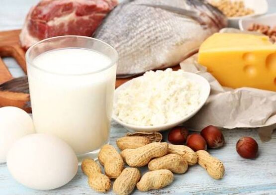 Сүт азыктары, балык, эт, жаъгактар ​​жана жумуртка - протеин диетасынын диетасы
